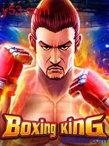 BoxingKing: A Revolução nos Jogos de Apostas com y53.com